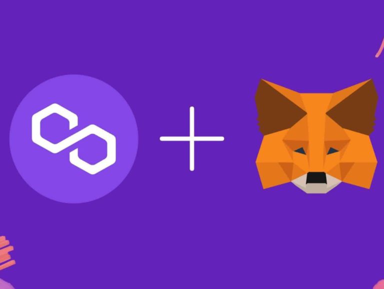 cara menambahkan jaringan polygon metamask