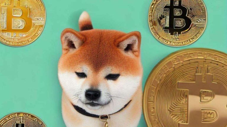 shiba inu dan ai